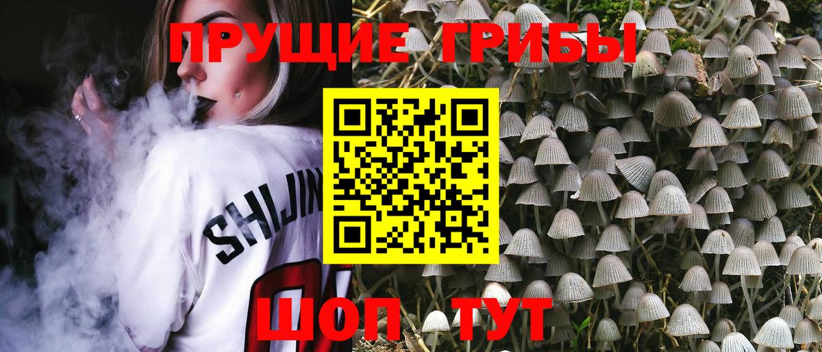 Гатчина  Галлюциногенные грибы ЛСД  Вход с VPN 