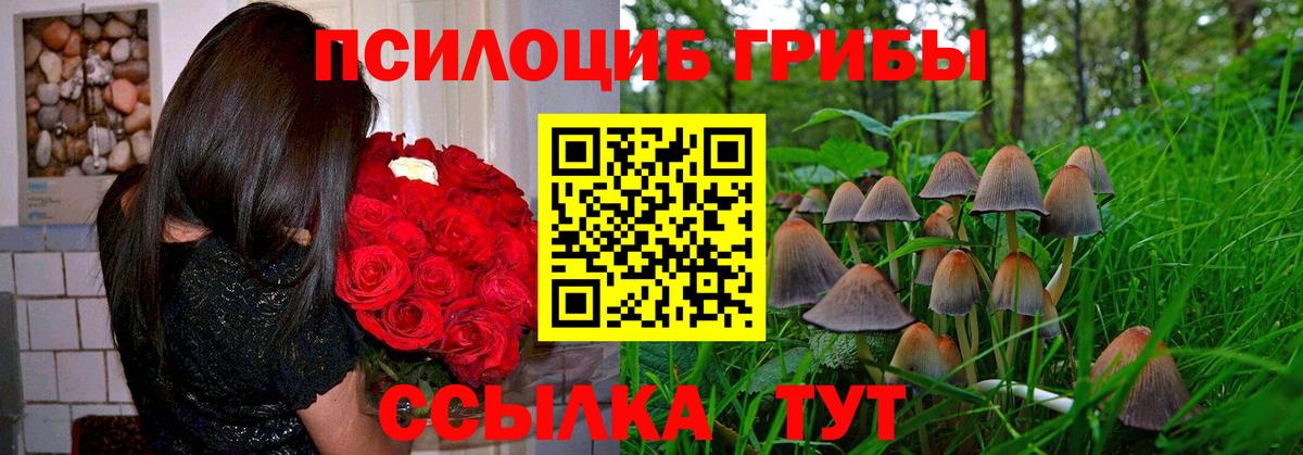 Галлюциногенные грибы Magic Shrooms Гатчина